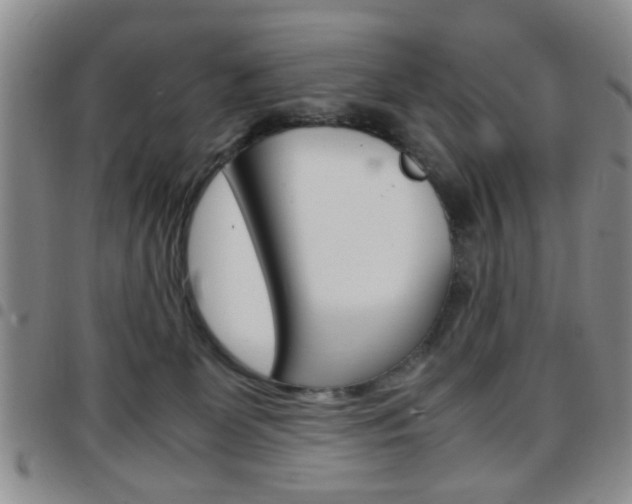 X0000097920131200803141039