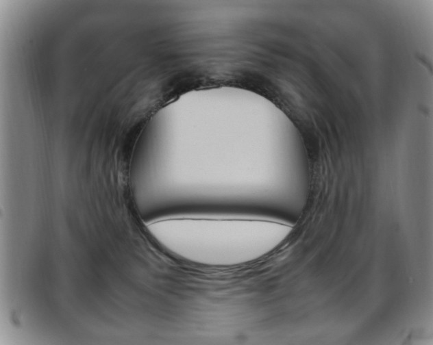 X0000097920135200803141039