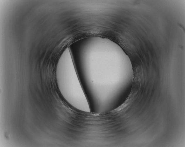 X0000097920140200803141039