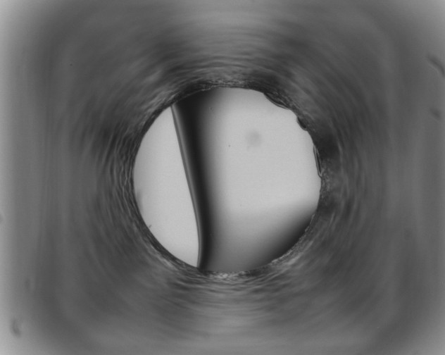 X0000097920141200803141039