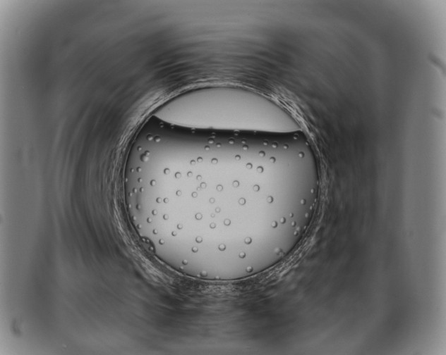 X0000097920145200803141038