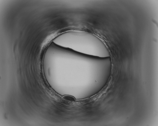 X0000097920149200803141038