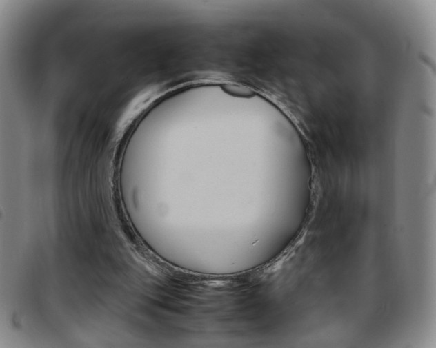 X0000097920151200803141038