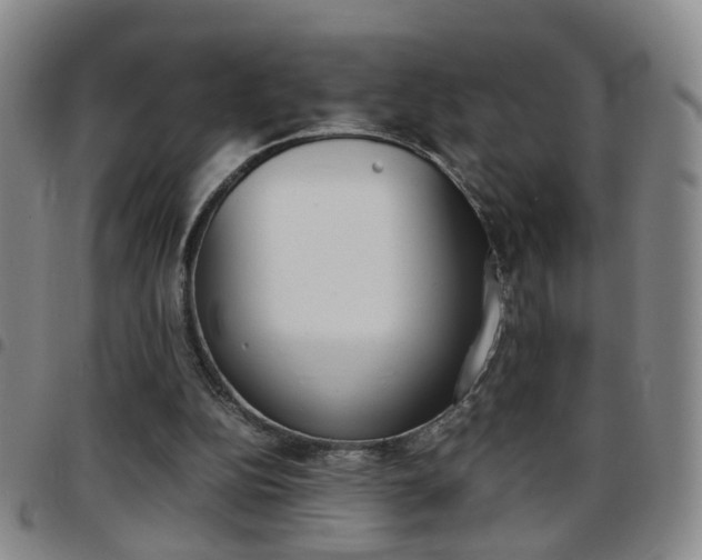 X0000097920152200803141038