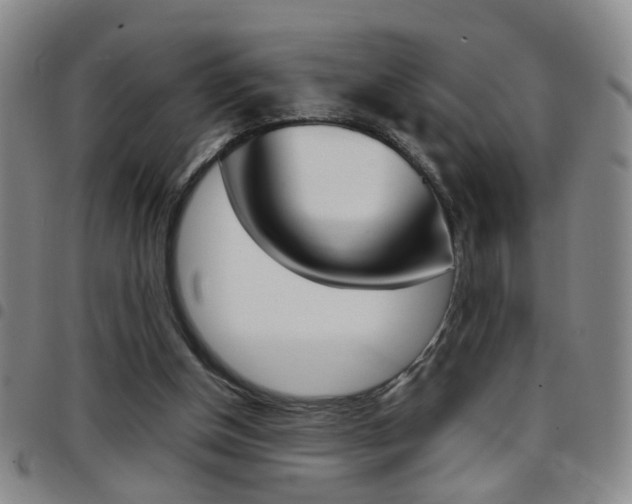 X0000097920154200803141038