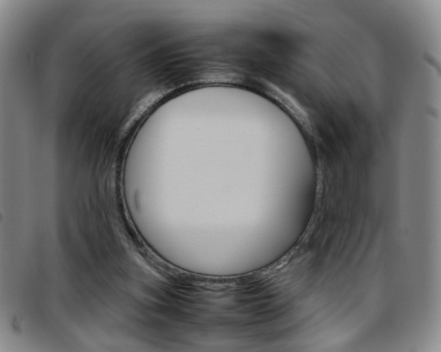 X0000097920155200803141038