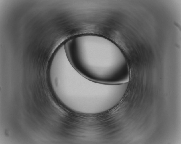 X0000097920156200803141038