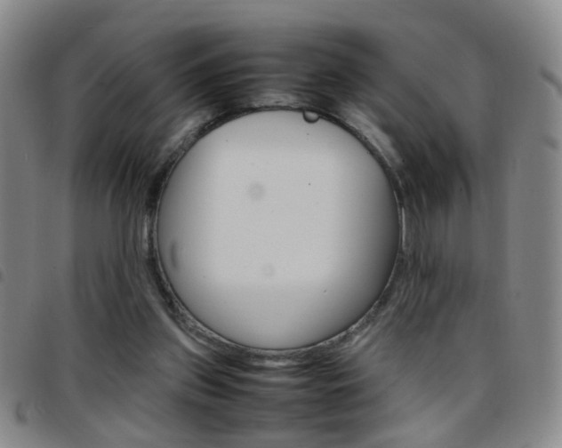 X0000097920157200803141038