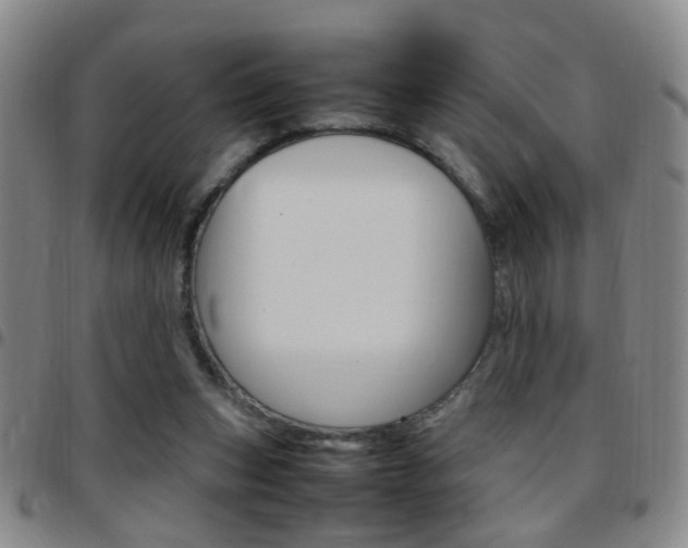 X0000097920159200803141038