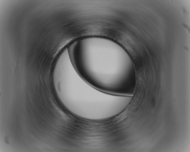 X0000097920160200803141038