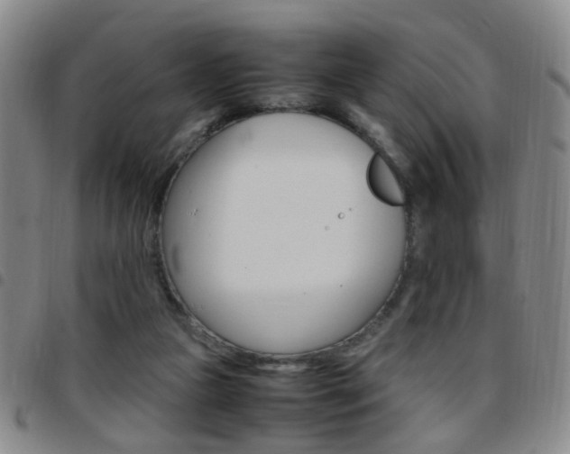 X0000097920161200803141038