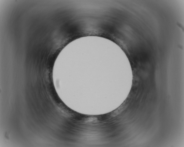 X0000097920162200803141038