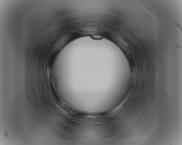 X0000097920166200803141038