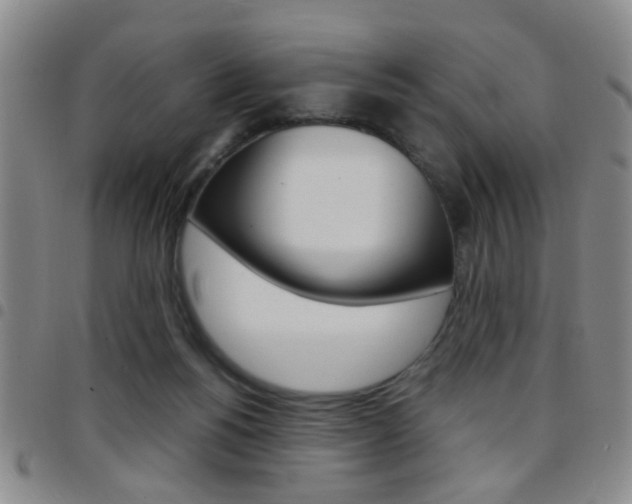 X0000097920168200803141038
