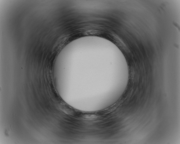 X0000097920169200803141038