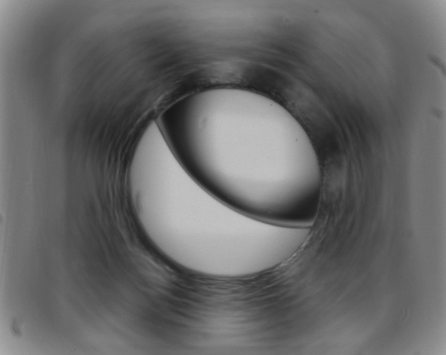 X0000097920172200803141038