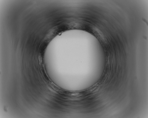 X0000097920173200803141038