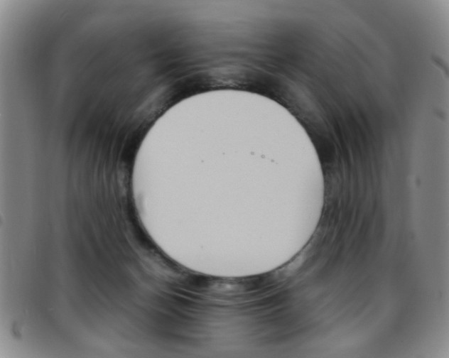 X0000097920174200803141038