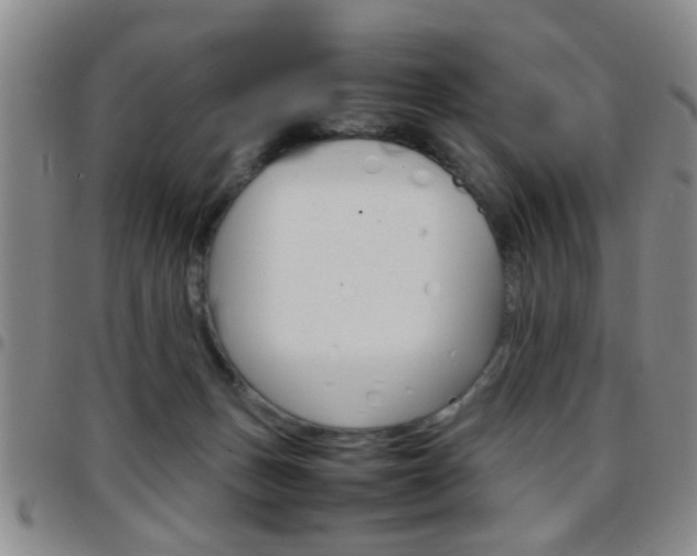 X0000097920175200803141038