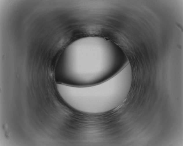 X0000097920176200803141039
