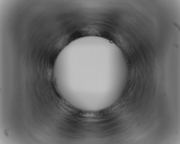 X0000097920177200803141039