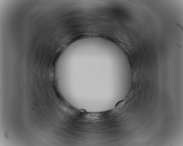 X0000097920179200803141039