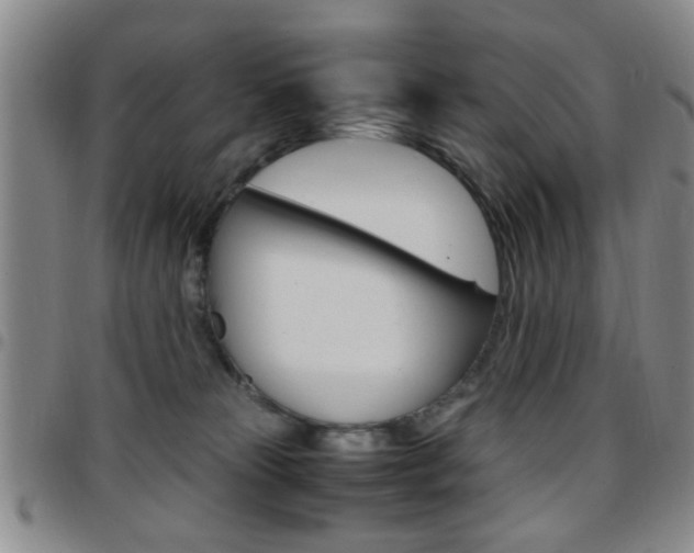 X0000097920181200803141039