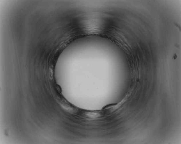 X0000097920183200803141039