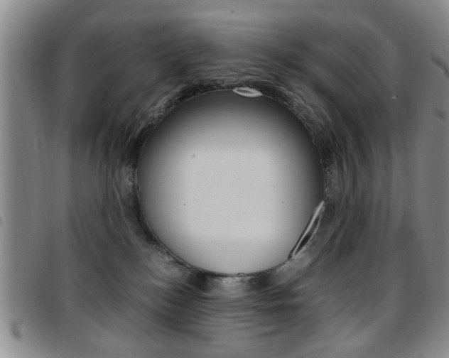X0000097920184200803141039