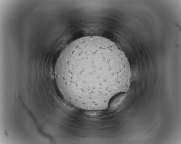 X0000097920187200803141039