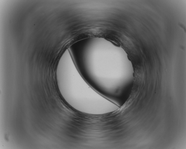 X0000097920188200803141039
