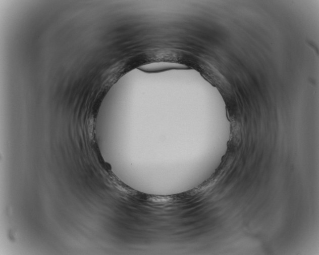 X0000097920189200803141039