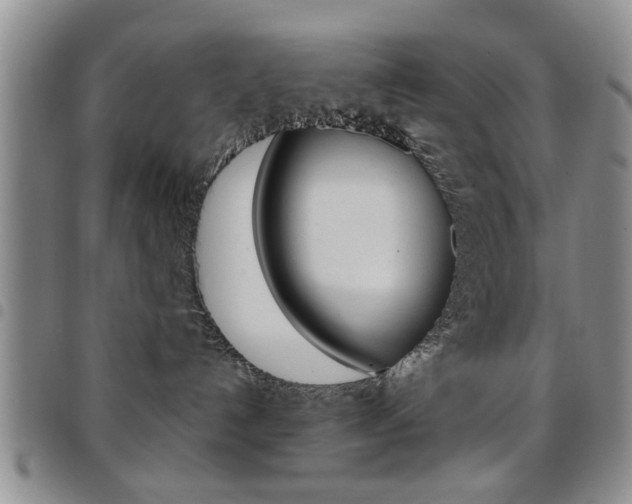 X0000097920192200803141039