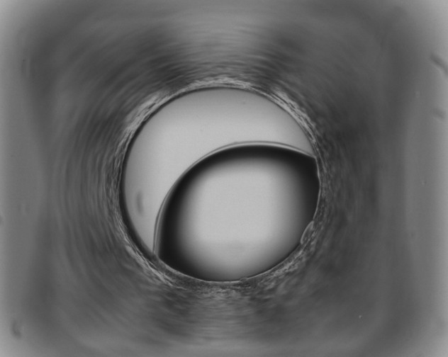 X0000097920193200803141038