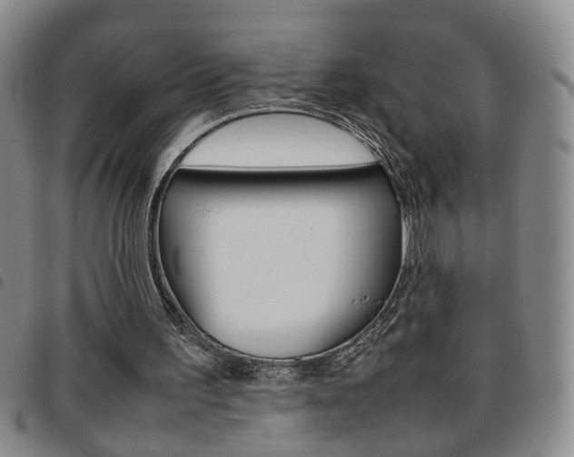 X0000097920195200803141038