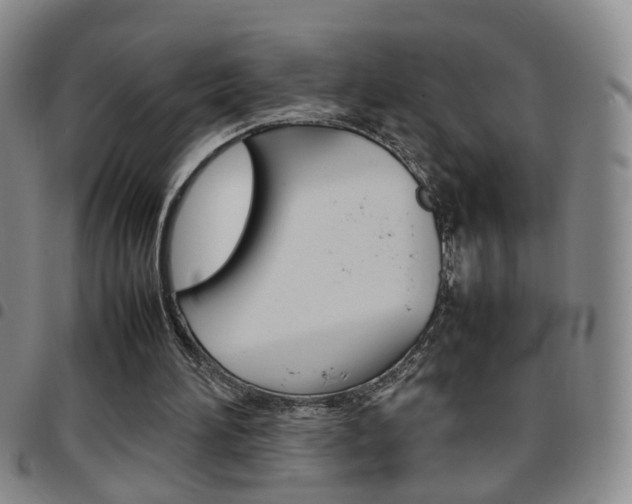 X0000097920196200803141038