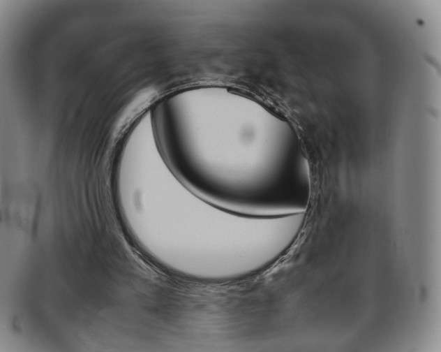 X0000097920197200803141038