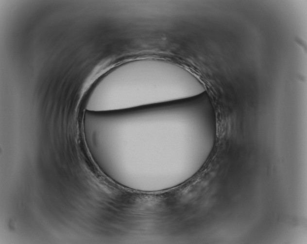 X0000097920198200803141038