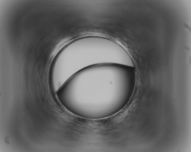 X0000097920199200803141038