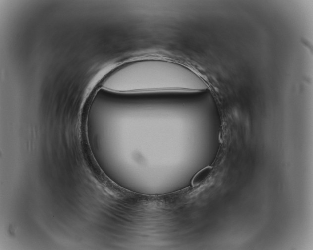 X0000097920200200803141038