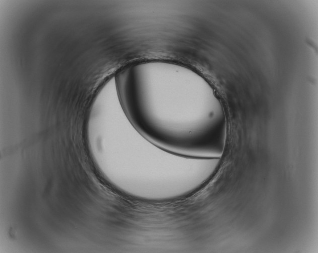 X0000097920201200803141038