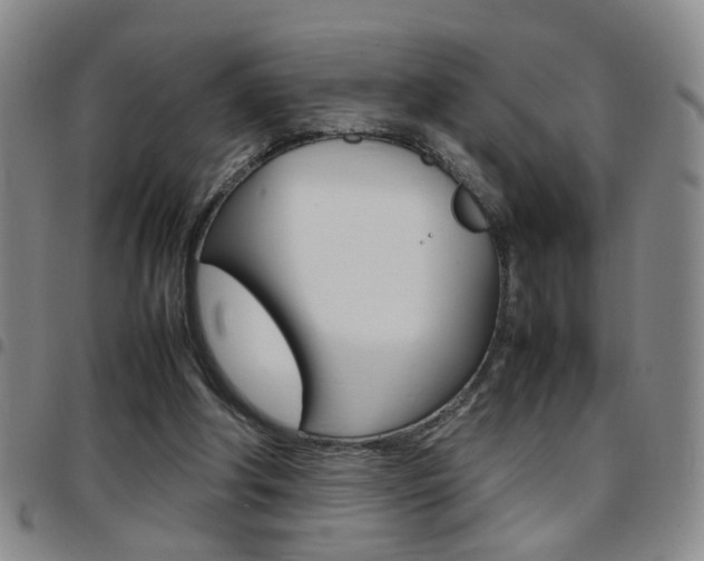 X0000097920202200803141038