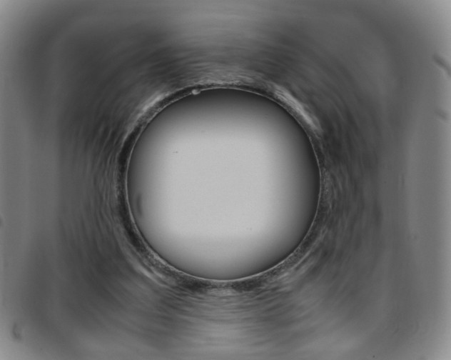 X0000097920203200803141038