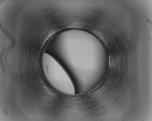X0000097920204200803141038