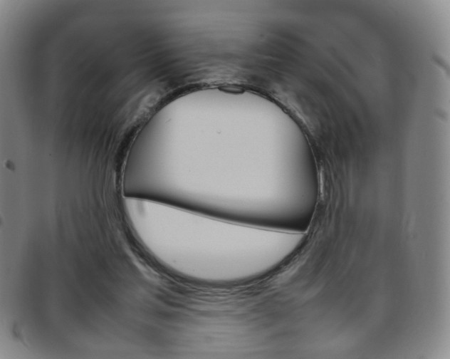X0000097920205200803141038