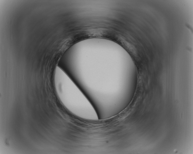 X0000097920209200803141038
