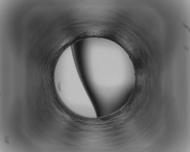X0000097920211200803141038