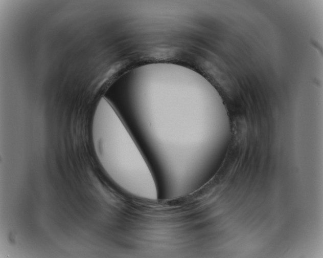 X0000097920212200803141038