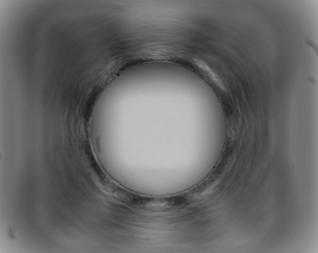X0000097920213200803141038