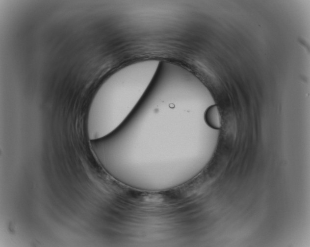 X0000097920214200803141038